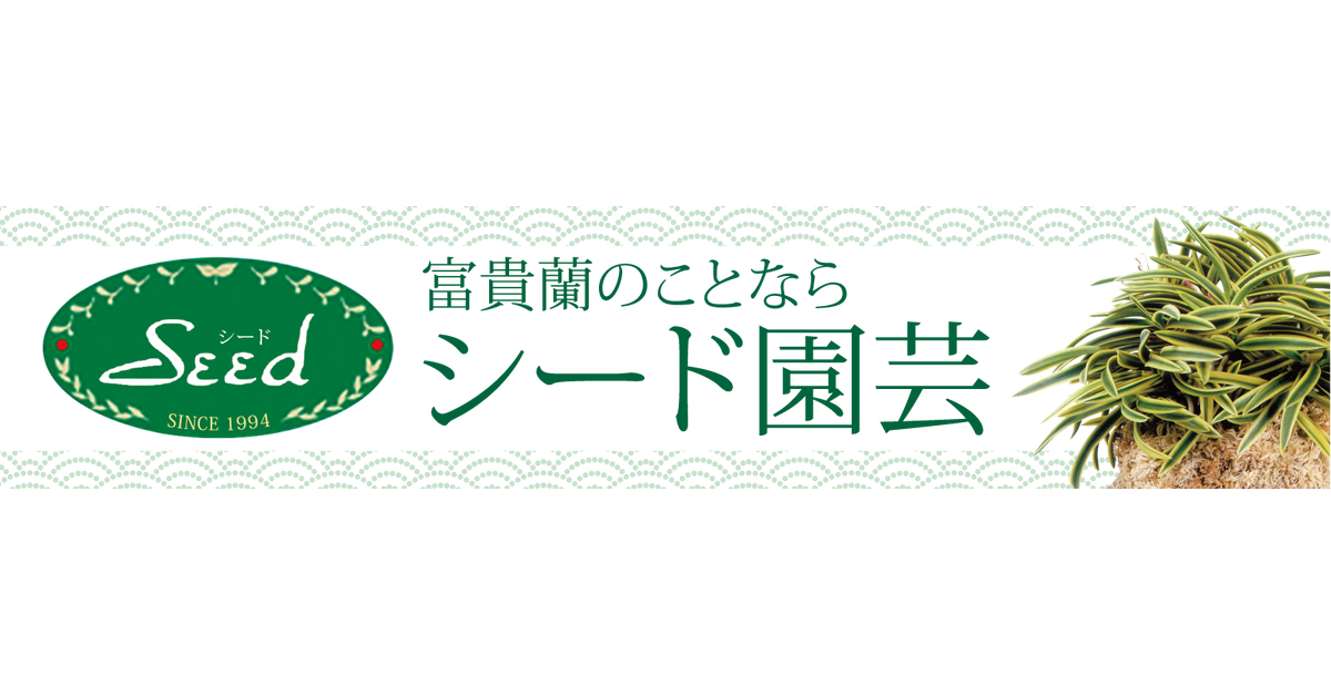 商品 – シード園芸/ SEED Engei